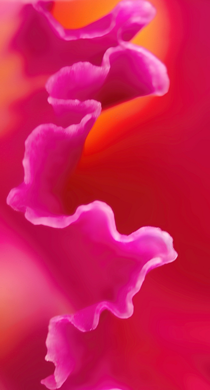 2_botanicalcurlicue_ggrohovaz