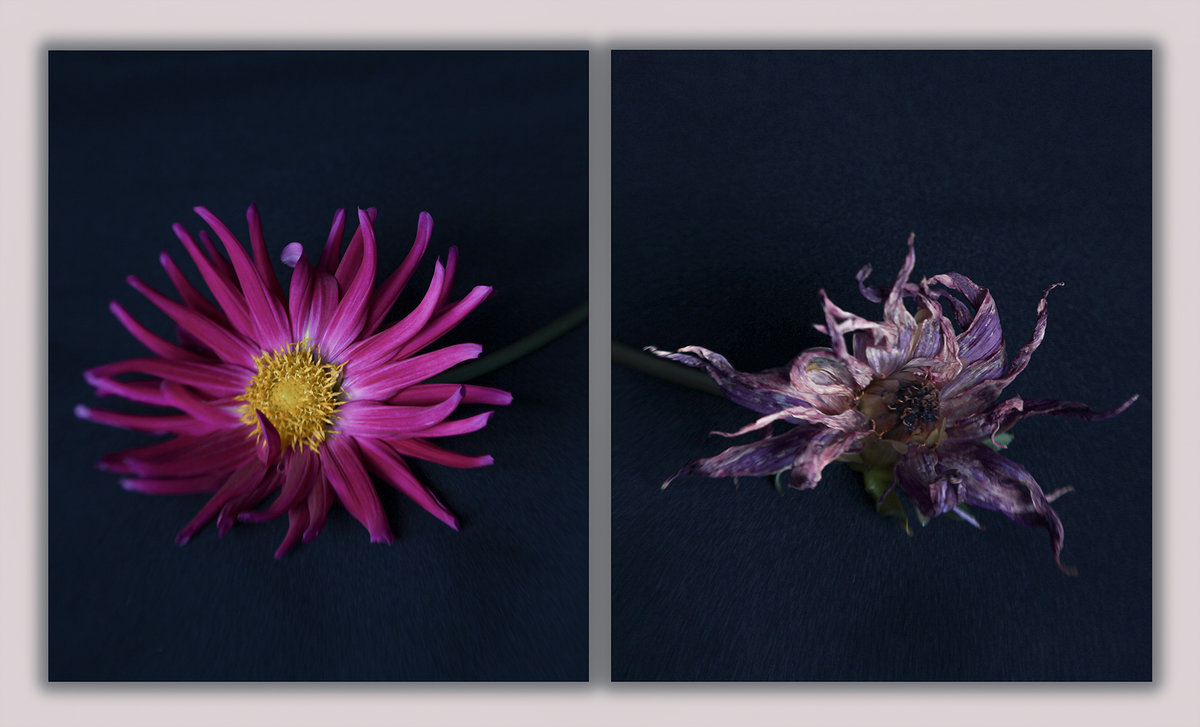IMG_0292 PS1c diptych b 1080