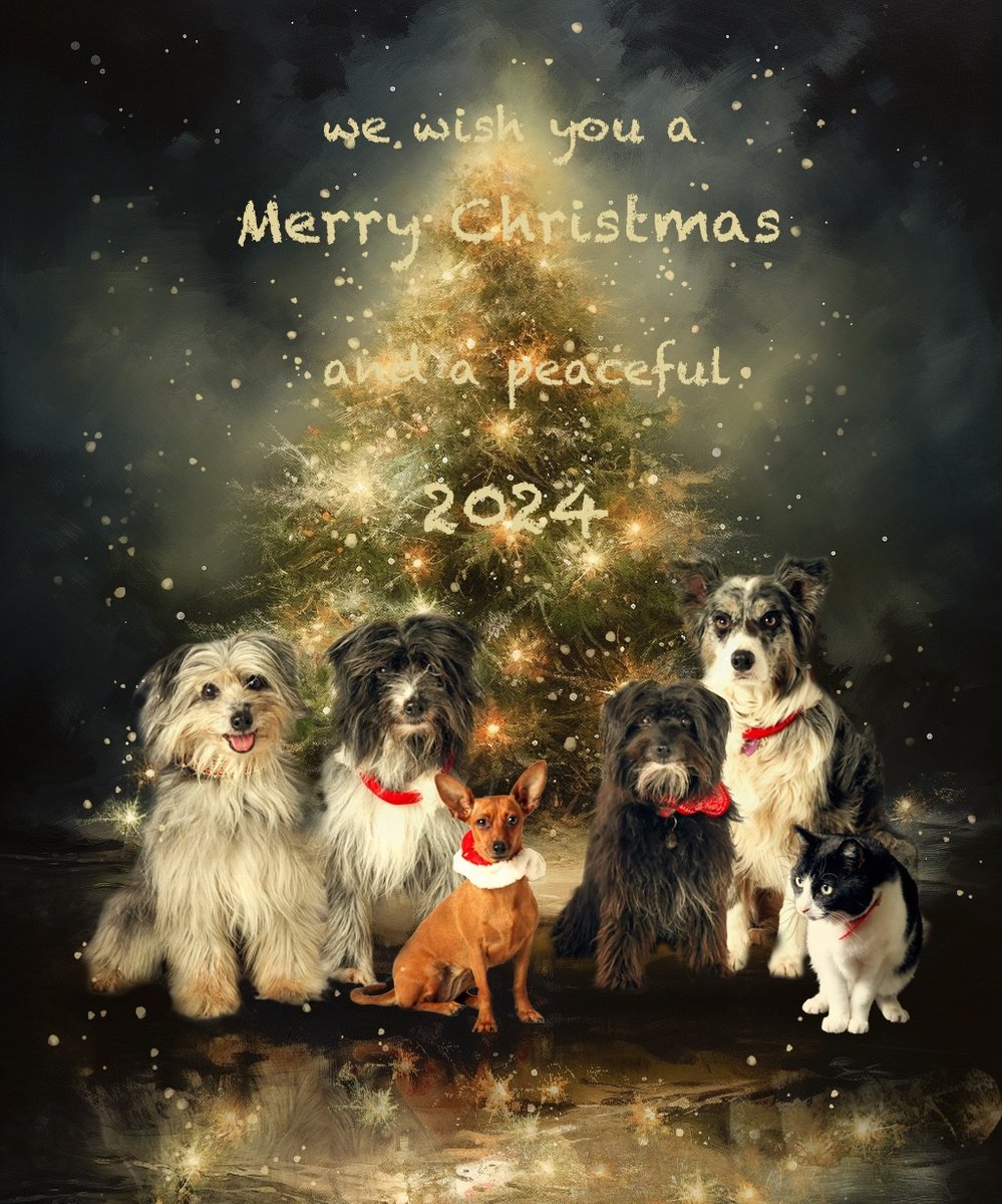 Christmas 2023 