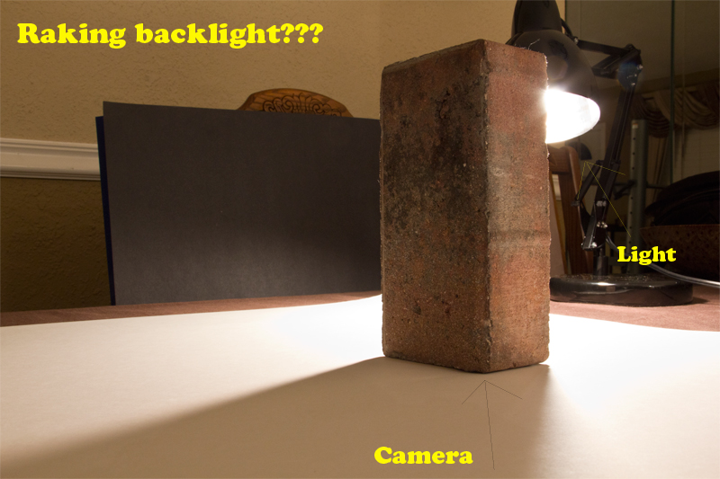 rakingbacklight1