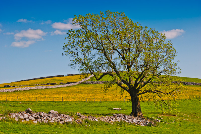 Malham