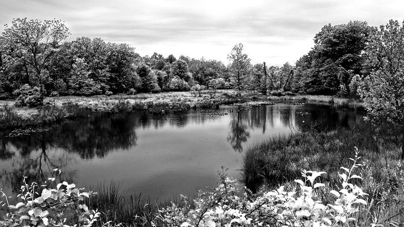 Painters Mill Edit 2