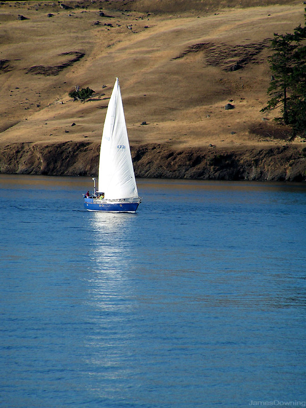 Lone Sailer