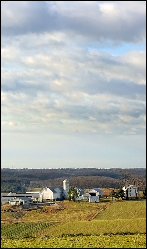 The Farm