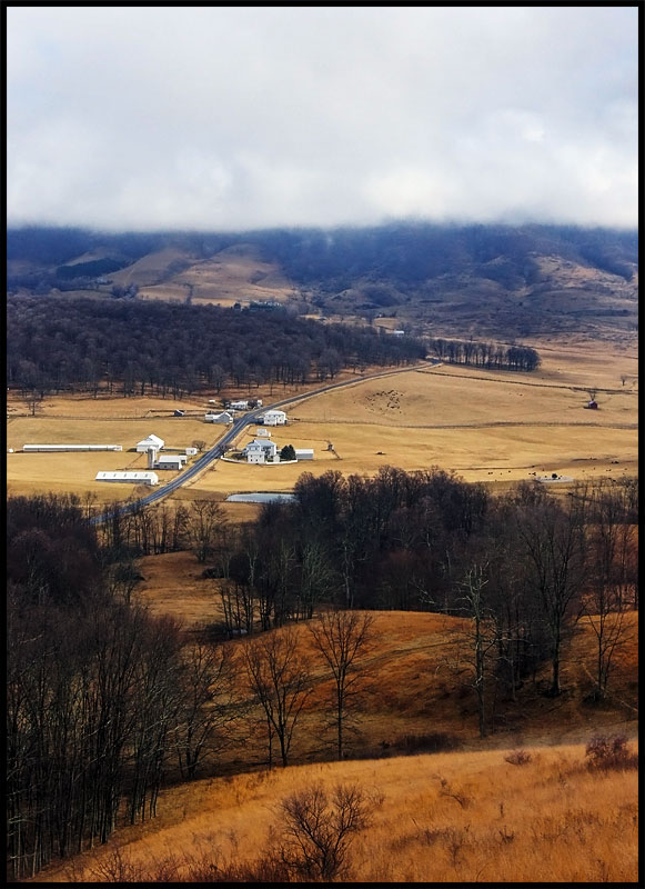 Mountain Farms