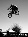IMG_0239 - Version 3