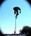 IMG_0311