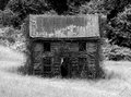 If these walls could talk