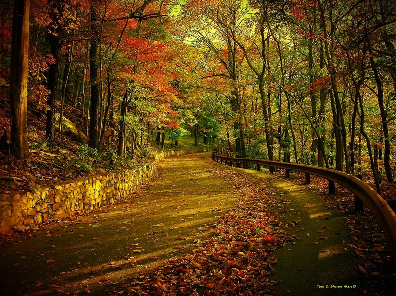 a winding road02 copy