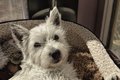 Adorable (17/52)