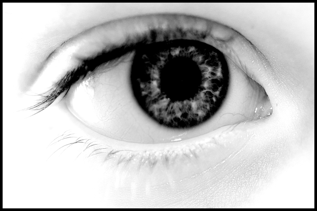 Eye Macro B&W