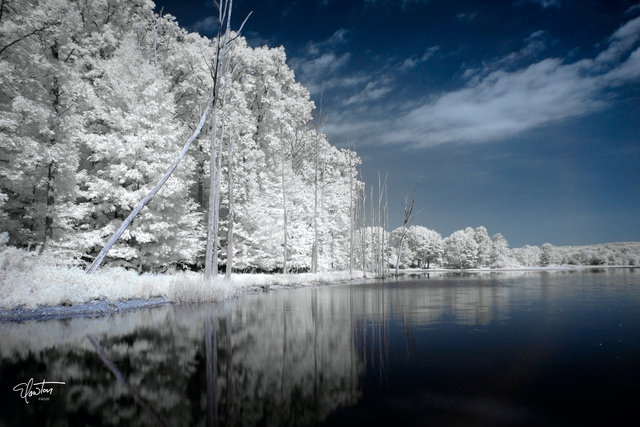 Chilisaugi IR