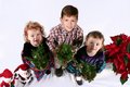 2005xmas640.jpg