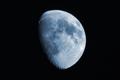 Moon Shot