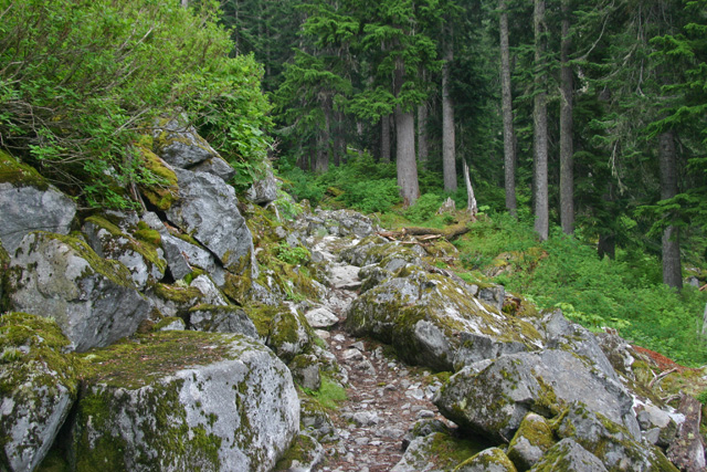 surprise-lake-02.jpg