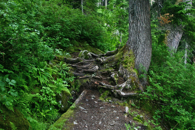 surprise-lake-03.jpg