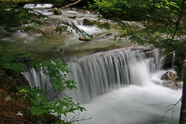surprise-lake-14.jpg