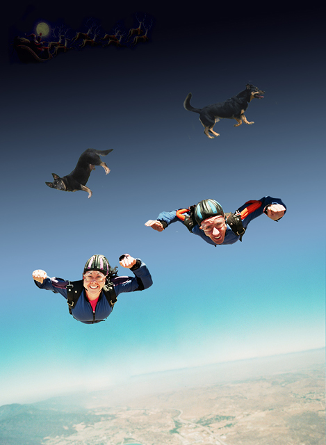 Freefall Christmas