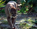 IMG_0402-1.jpg