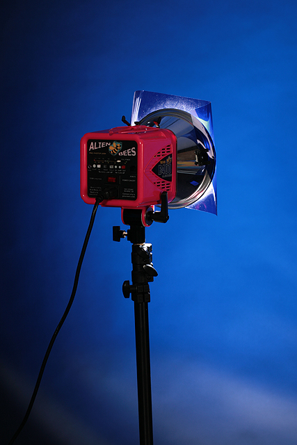 5 Blue background.jpg