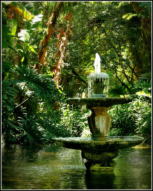 Serenity Found