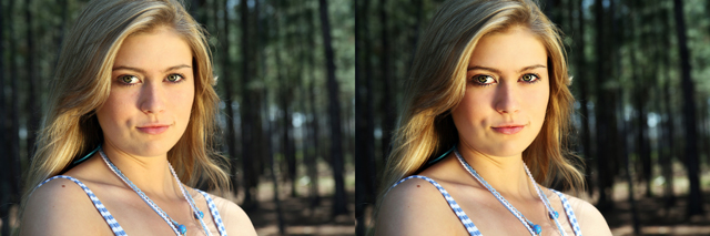 Comparison 2-640.jpg
