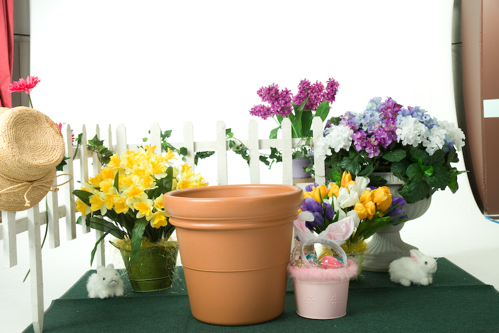 Ella\'s Garden.jpg