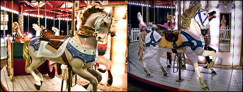 Carousel - Day 8.jpg
