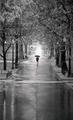 Your Path