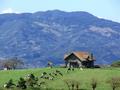 House on the Mountain