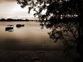Sepia Tide