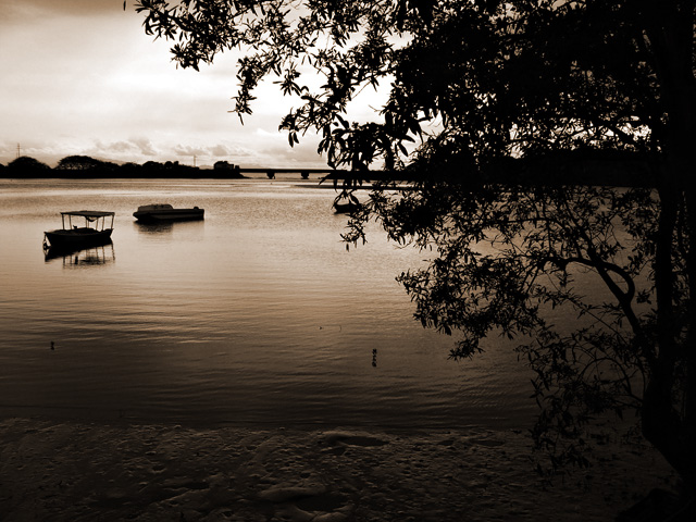 Sepia Tide