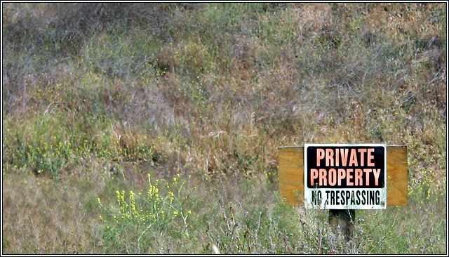 IMG_9533-NoTrespass.jpg
