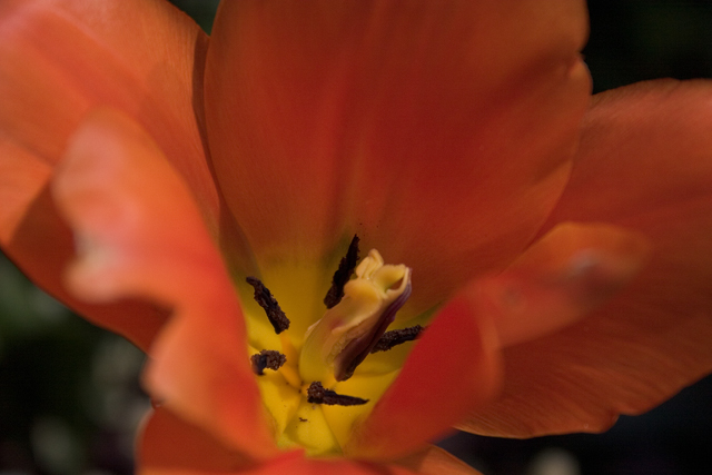CRW_1378web.jpg