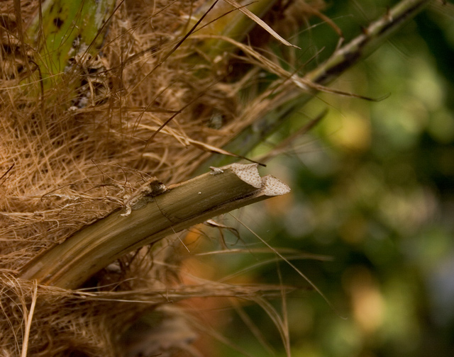 CRW_1380web.jpg