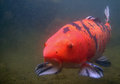 IMG_0702-tk1s64.JPG