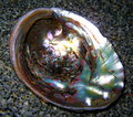 IMG_1956x640.JPG