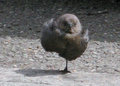 IMG_0705-tk1.JPG