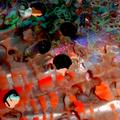 Abalone Shell 2