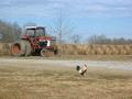 Farm Tractor