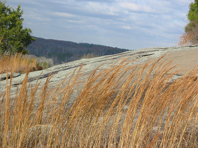 Panola Park Georgia