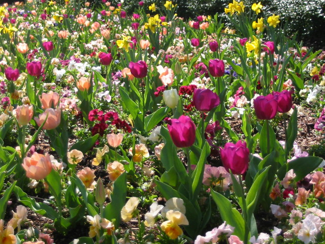 Spring Floral Series (2)