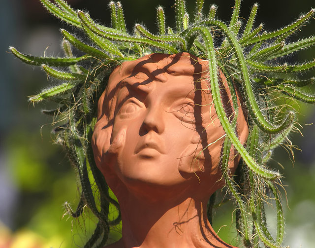 Medusa with cactus hair