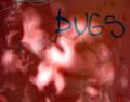 Bugs 11x14