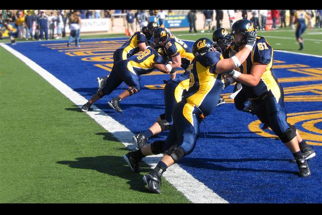 Cal Bears Defense