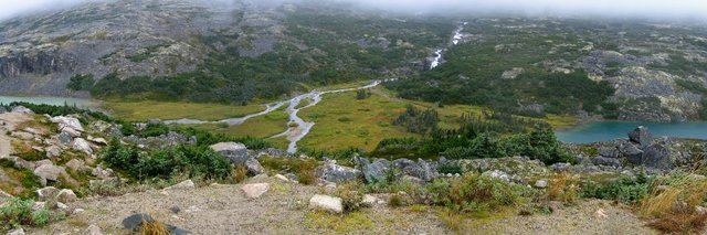 Whitepass 12x36