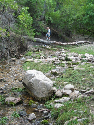 The Crossing