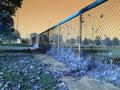 Blue Fall