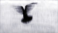 Archangel (30 days of blur)