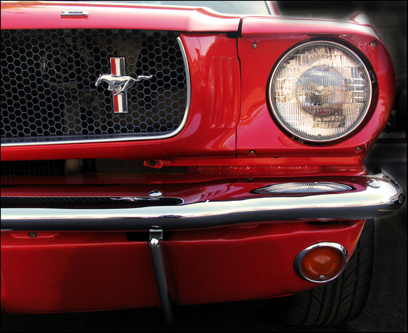 Stang